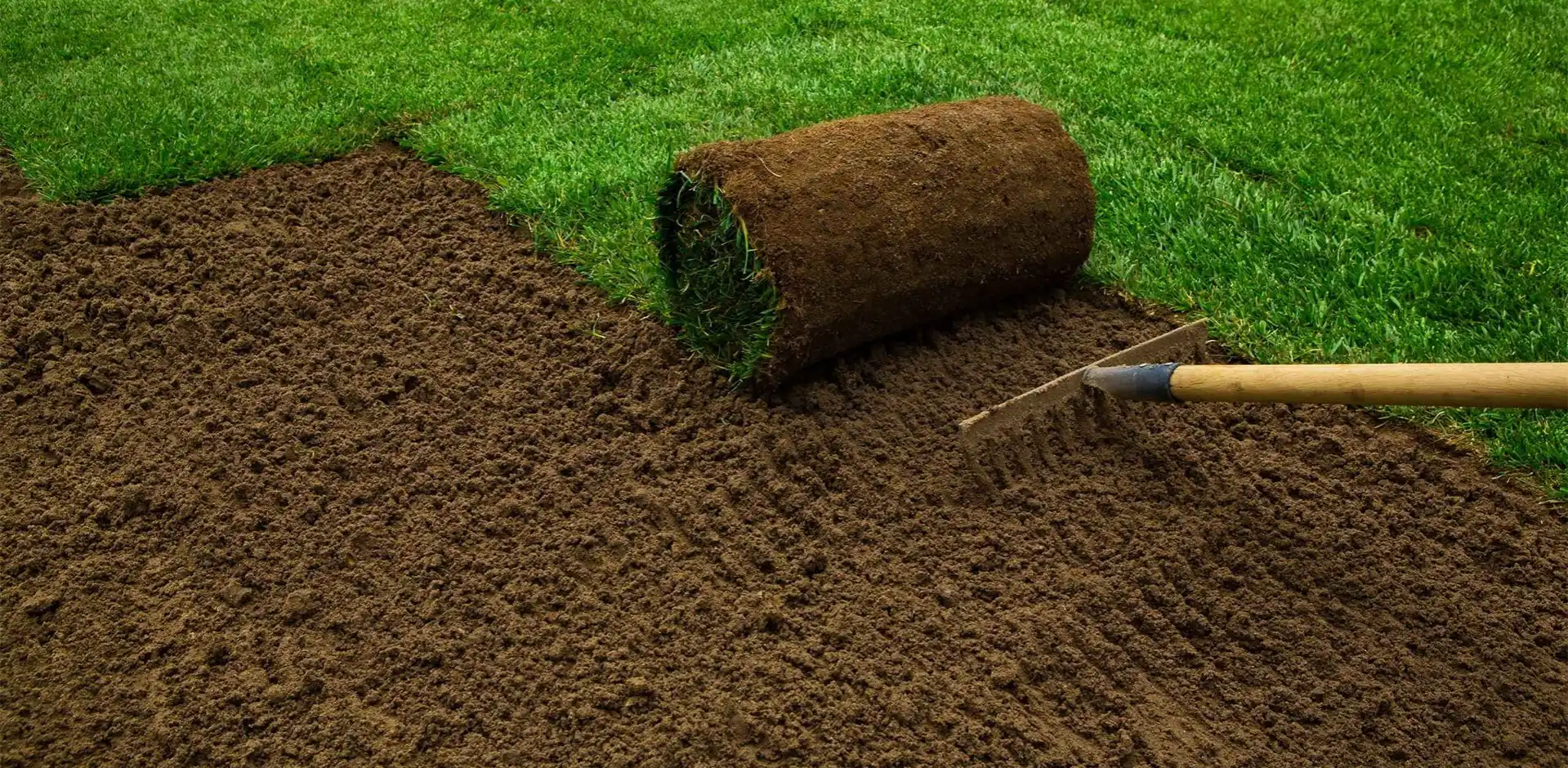 Sod Installation & Grading