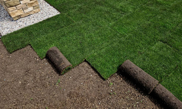 Fox Masonry Sod Installation